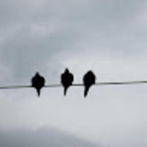 Meet your Posher, Coleen